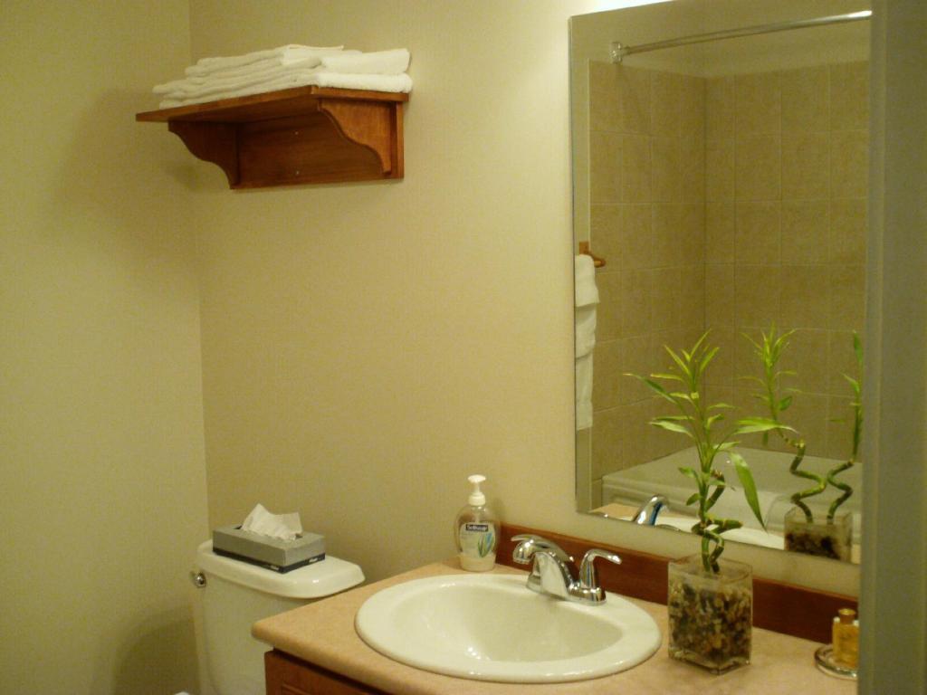 Auberge La Courtepointe Петіт-Рів'єр-Сен-Франсуа Номер фото