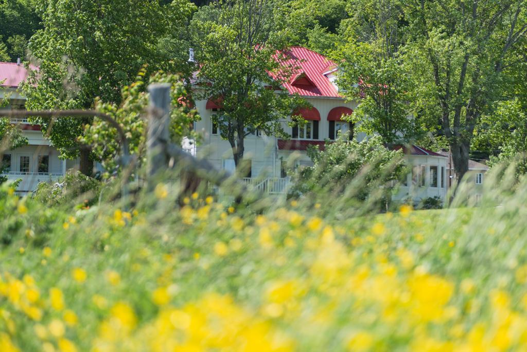 Auberge La Courtepointe Петіт-Рів'єр-Сен-Франсуа Екстер'єр фото